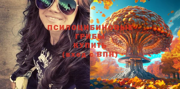 ГАЛЛЮЦИНОГЕННЫЕ ГРИБЫ Лабытнанги