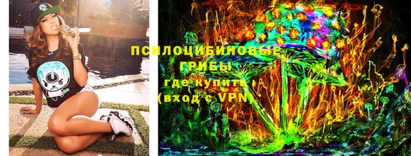 ГАЛЛЮЦИНОГЕННЫЕ ГРИБЫ Лабытнанги