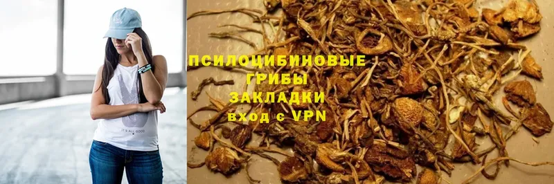 OMG зеркало  Каргат  Галлюциногенные грибы Psilocybine cubensis  хочу  